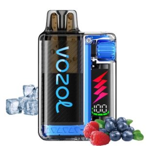 Vozol Vista Plug 20mg 2ml Kit +10ml E-liquid Strawberry Kiwi