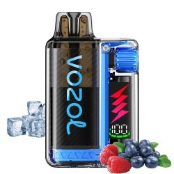 Vozol Vista Plug 20mg 2ml Kit +10ml E-liquid Strawberry Kiwi