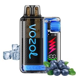 Vozol Vista Plug 20mg 2ml Kit +10ml E-liquid Strawberry Kiwi